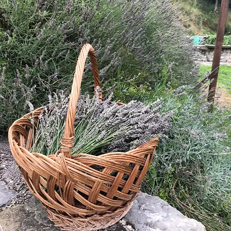 La Casita Eco